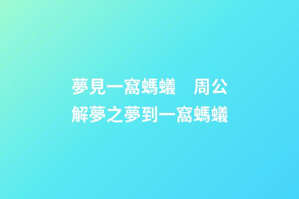 夢見一窩螞蟻　周公解夢之夢到一窩螞蟻